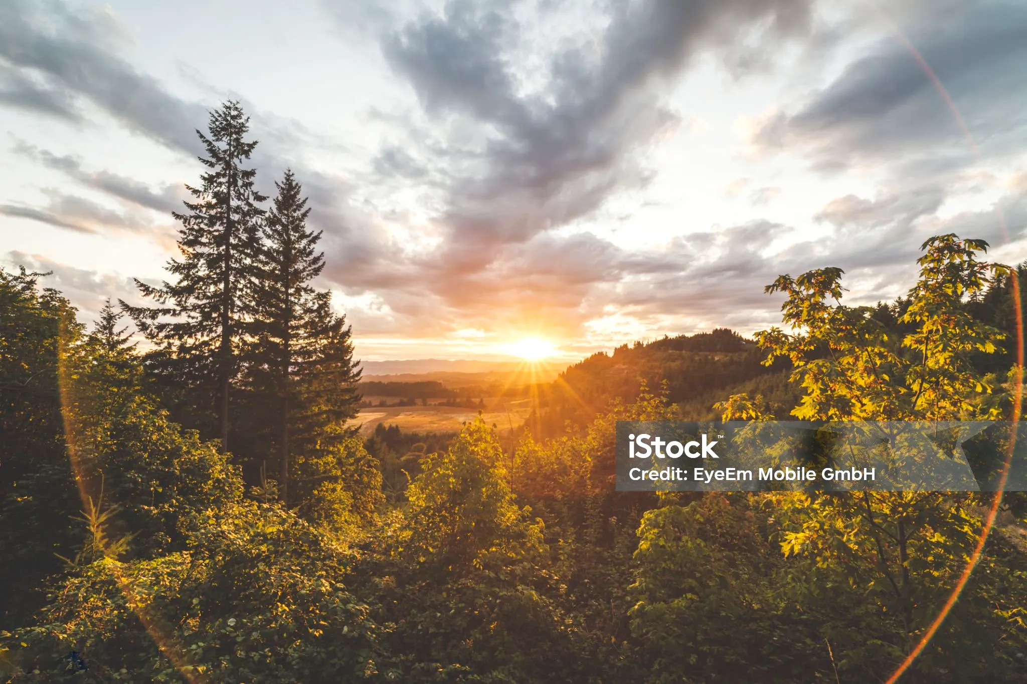 Photo taken in Beaverton, United States